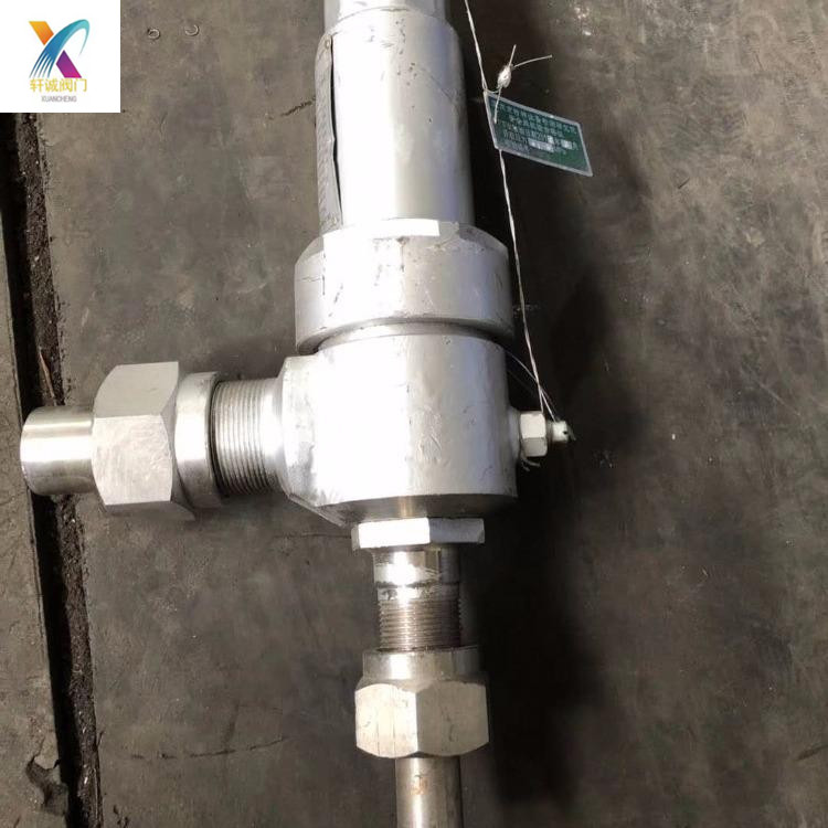 A61H、A61Y Spring micro opening safety valve - 浙江轩诚阀门有限公司